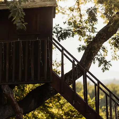 Quinta Dos Manteiros, Indoor Pool And Nature Willa
