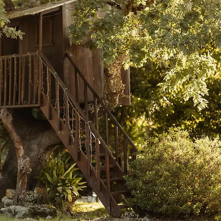 Willa Quinta Dos Manteiros, Indoor Pool And Nature *